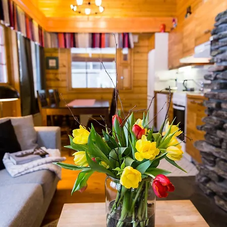 Karinhippu A Visit * ليفي