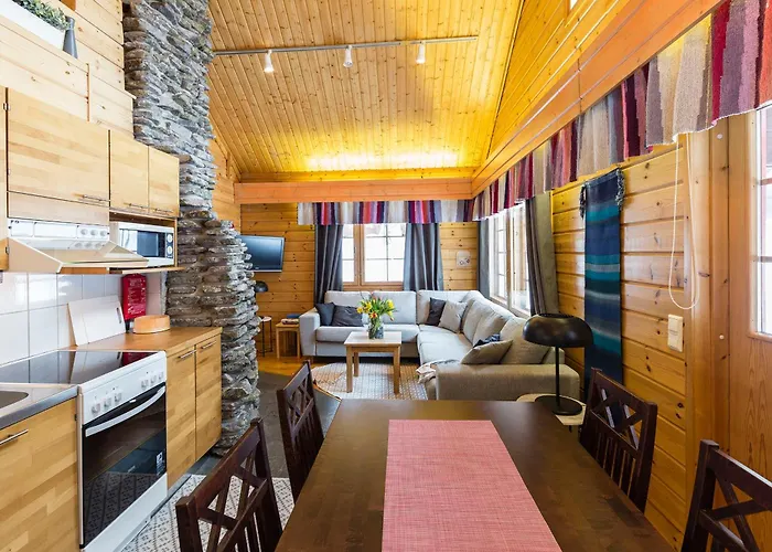 Karinhippu A Visit לוי