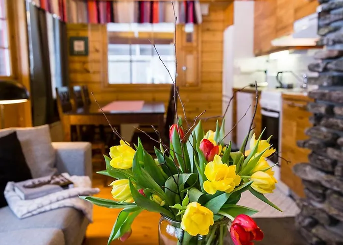 Karinhippu A Visit * לוי